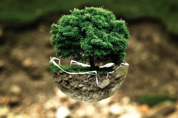Environmental protection