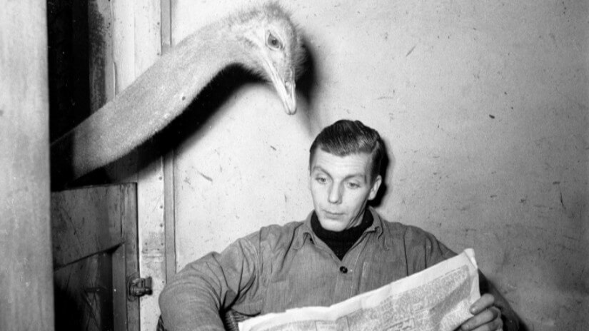 James Webb Young suggests that turning your mind to something else, like reading the newspaper, will help you have ideas.