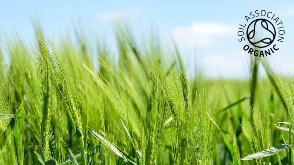 A field of organic crops with the Soil Association logo, signifying James and James's organic fulfilment service