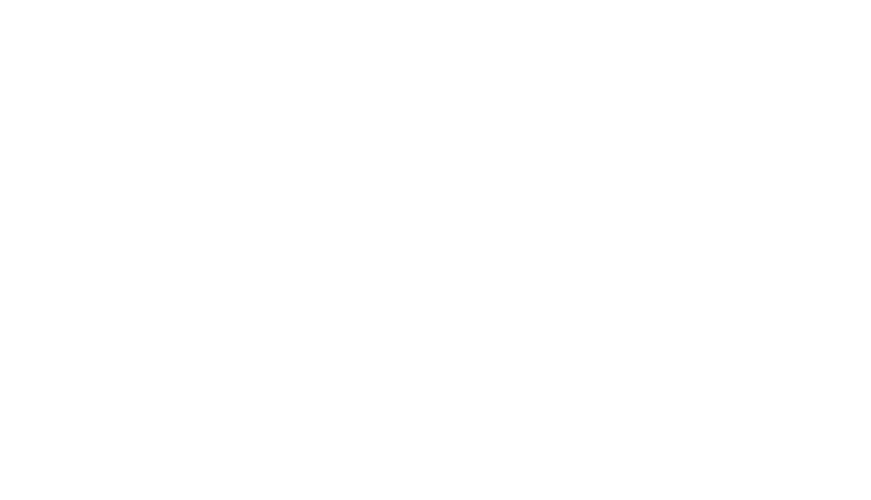 Armadillo Merino 1 cs individual logo armadillo merino