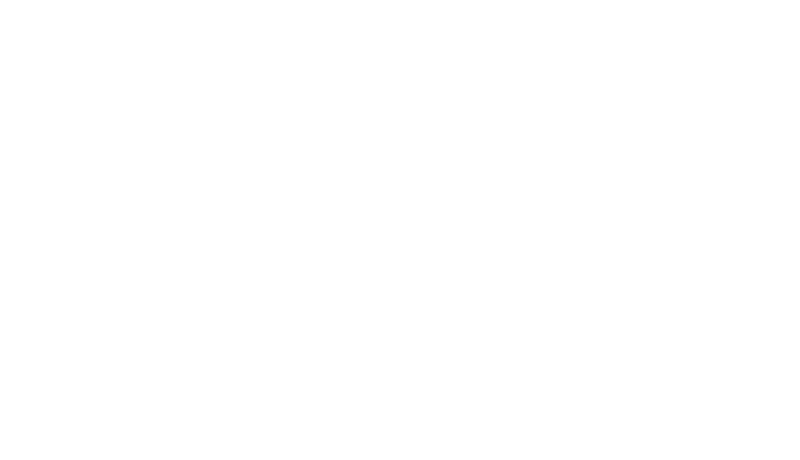 cs individual logo armadillo merino