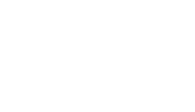 cs individual logo hairstory