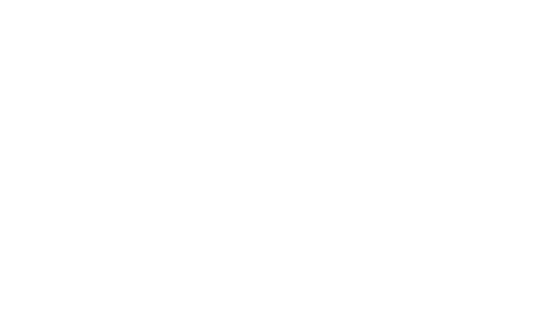 SureFlap 1 cs individual logo sureflap