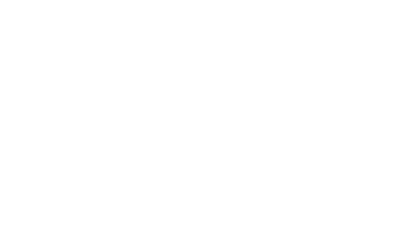 cs individual logo sureflap