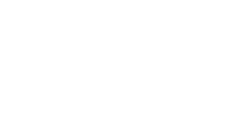 cs individual logo the literary gift 2