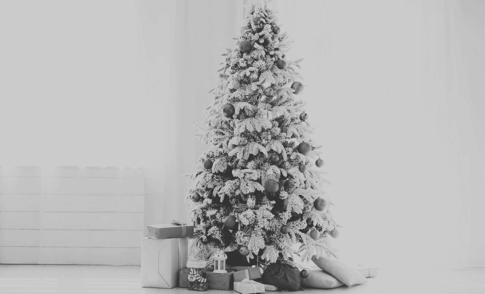 A photograph of a christmas tree