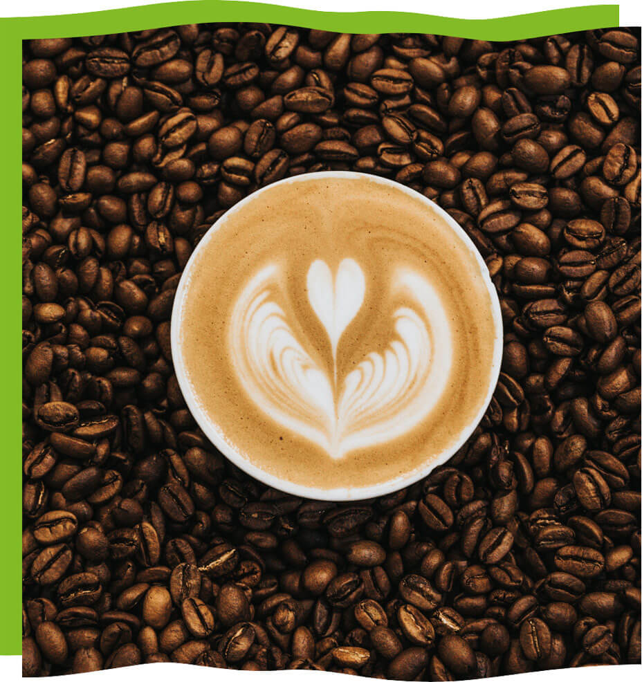 kopi luwak testimonial